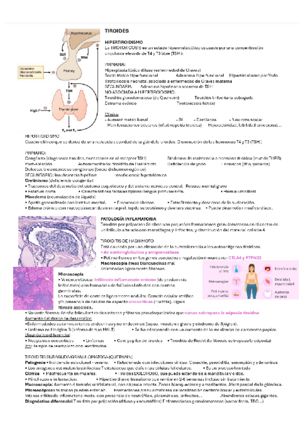 Miniatura del documento TIROIDES.pdf