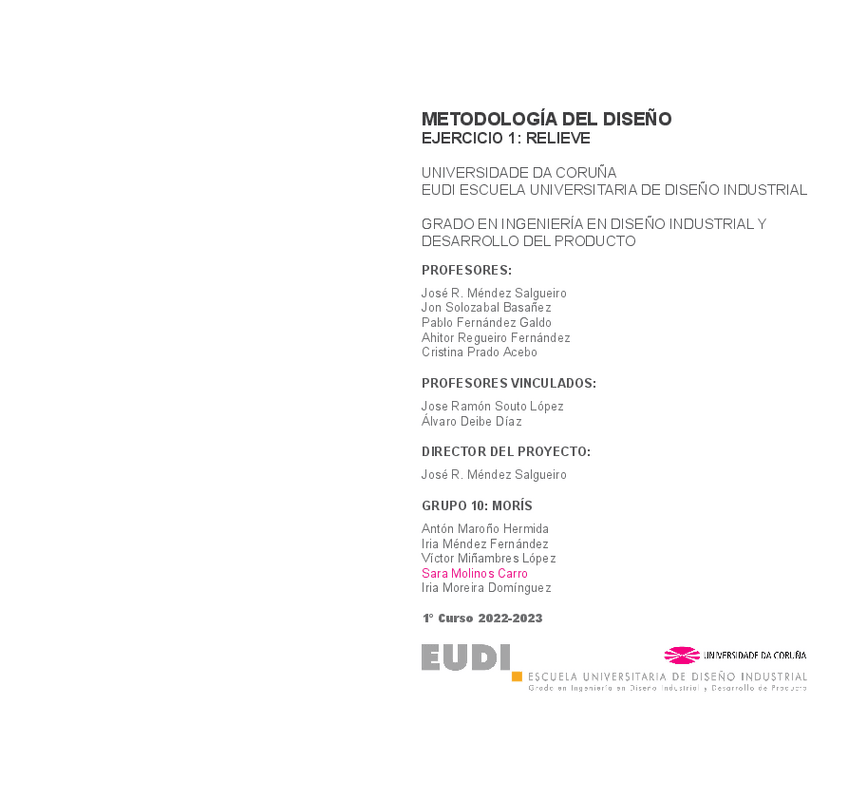 Miniatura del documento MemoriaRelieve.pdf