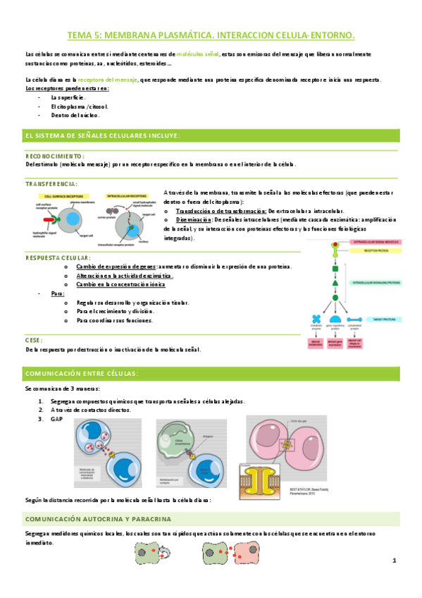 Miniatura del documento Biologia-tema-5.pdf