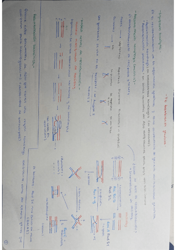 Miniatura del documento Tema4.pdf