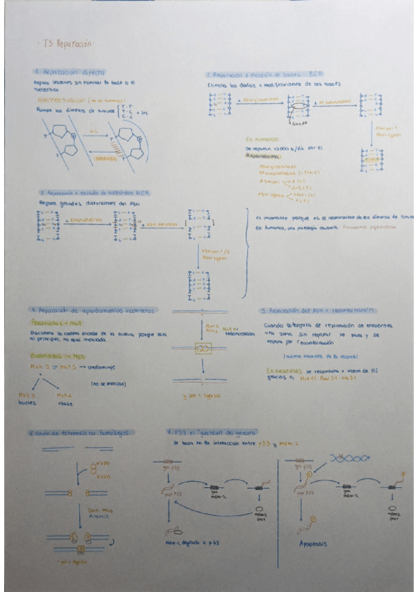 Miniatura del documento Tema5.pdf