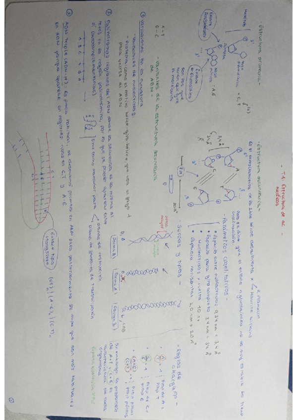 Miniatura del documento Tema1.pdf