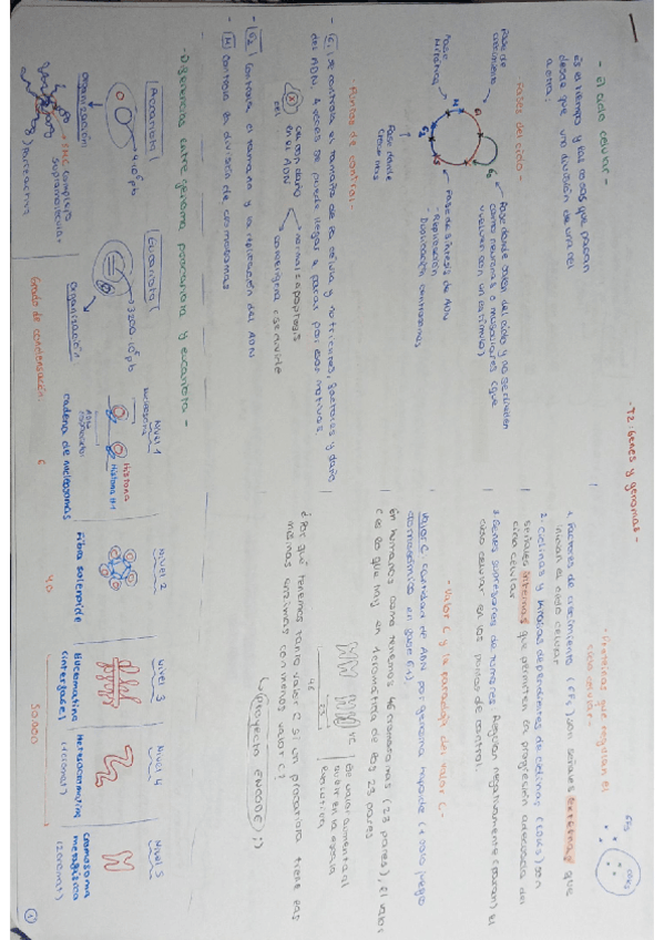 Miniatura del documento Tema2.pdf