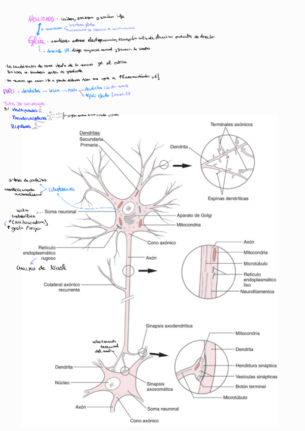 Miniatura del documento Tema-2.pdf