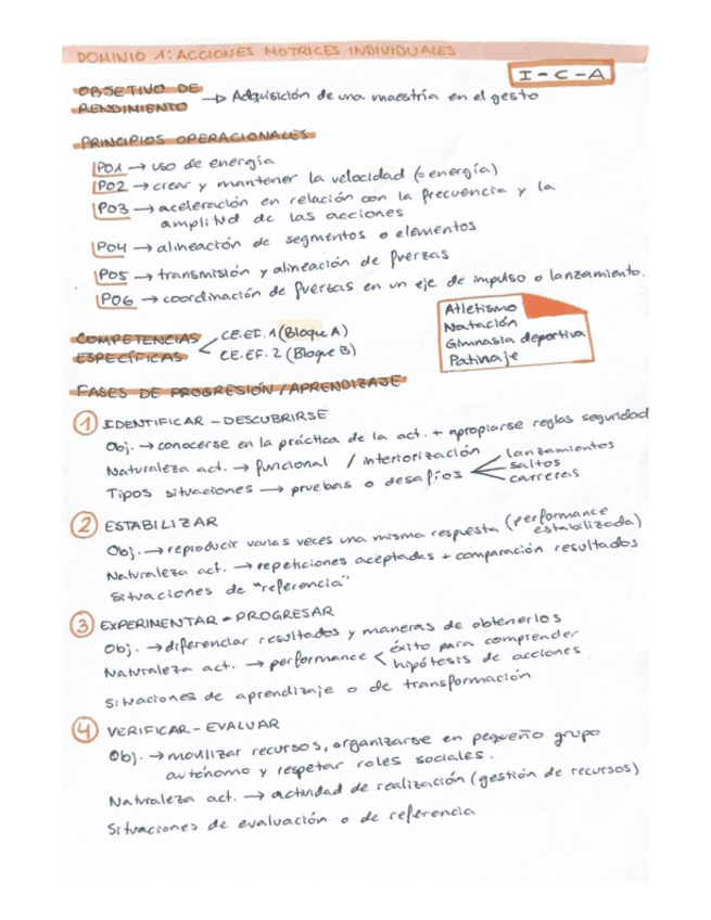 Miniatura del documento Resumen-Educacion-Fisica-en-Ed.-PrimariaD1.pdf