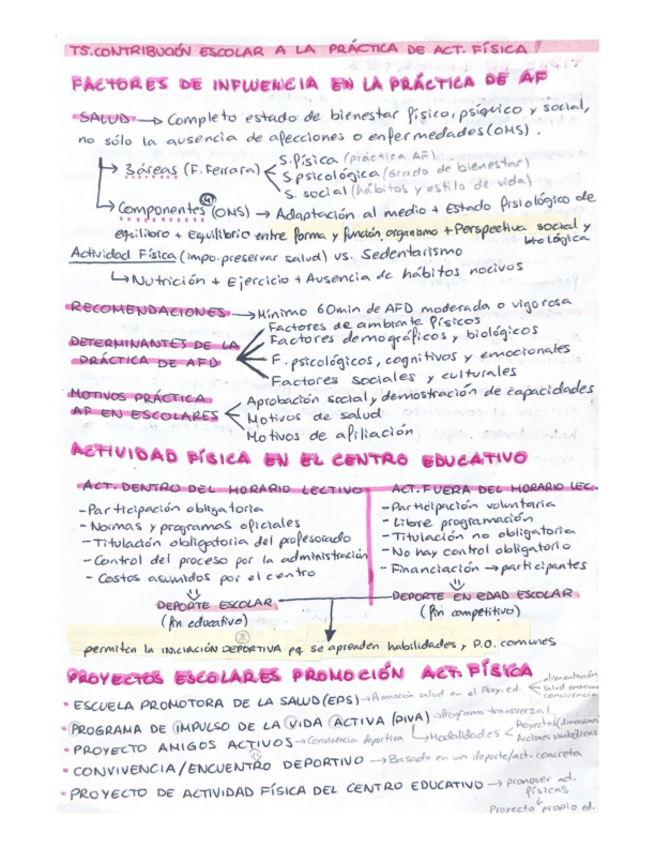 Miniatura del documento Resumen-Educacion-Fisica-en-Ed.-PrimariaT5.pdf
