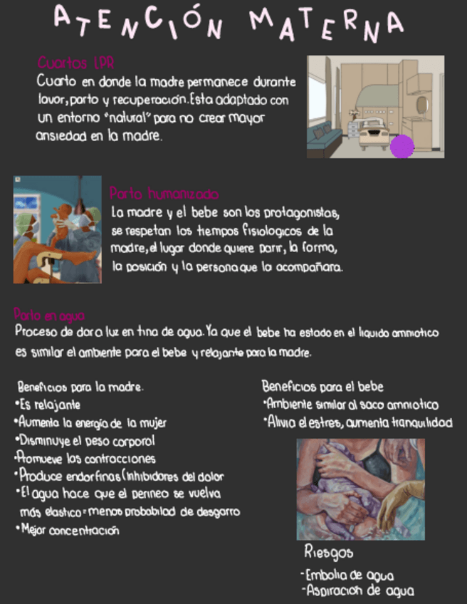 Miniatura del documento Atencion-materna.pdf