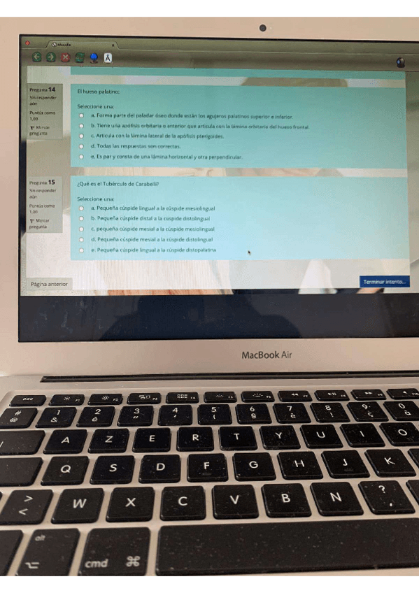 Miniatura del documento Anat-2-S1.pdf