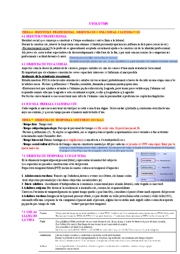 Miniatura del documento EVOLUTIVA-2n-examen.pdf