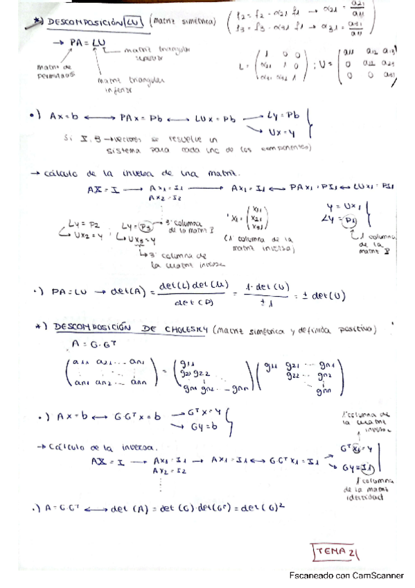 Miniatura del documento Resumen-ppct.pdf