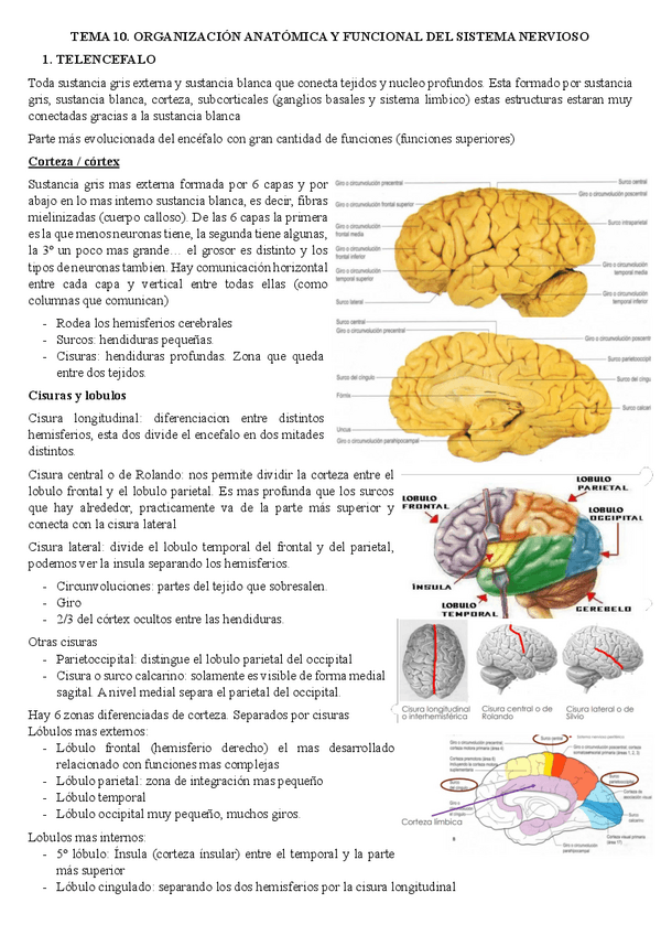 Miniatura del documento t10.pdf