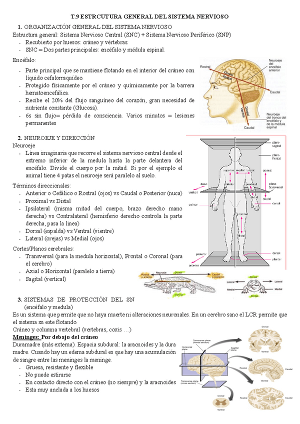 Miniatura del documento T.9.pdf