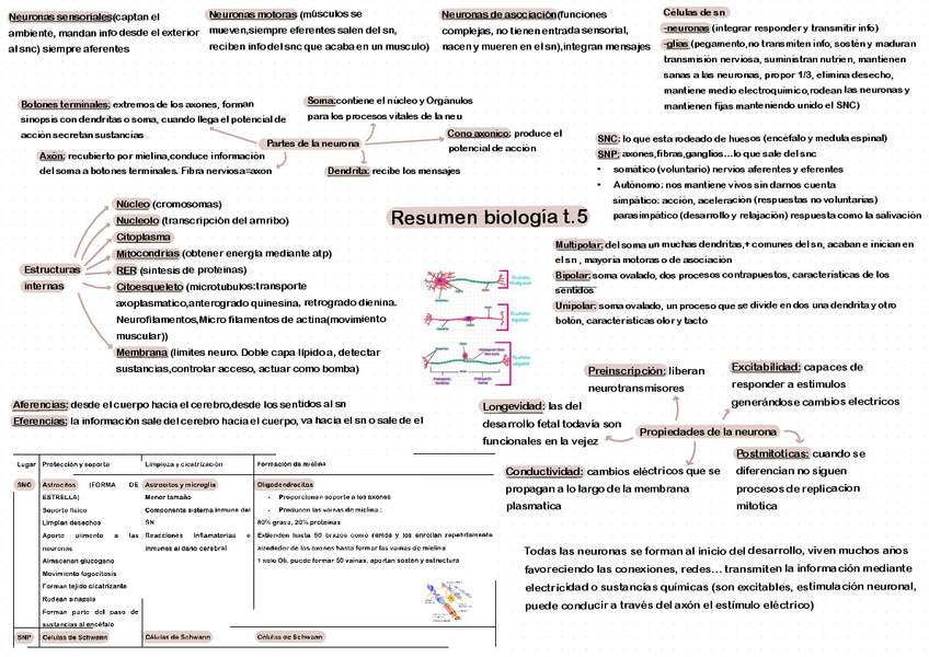 Miniatura del documento ESQUEMA-T.5.pdf