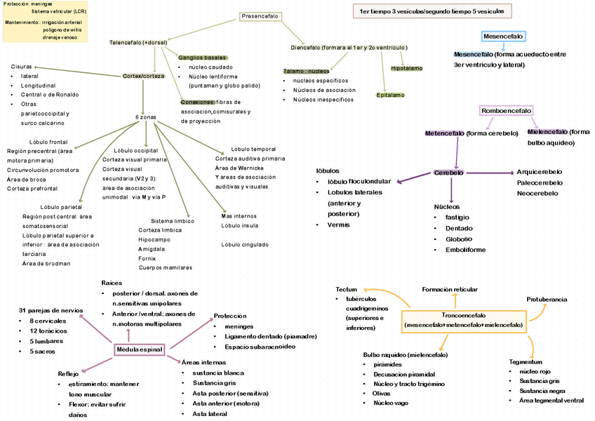 Miniatura del documento ESQUEMA-RESUMEN.pdf