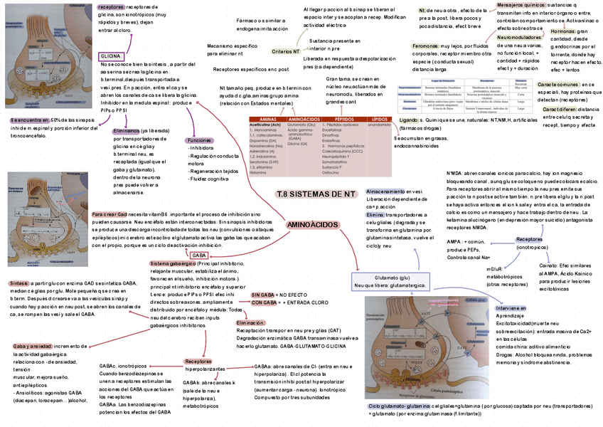 Miniatura del documento ESQUEMA-T8.pdf