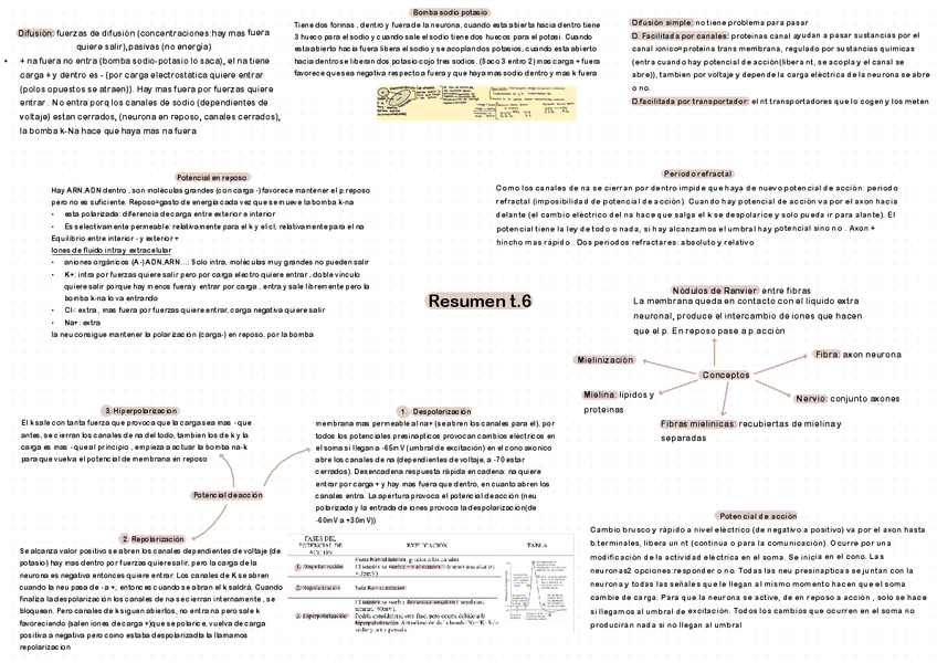 Miniatura del documento ESQUEMA-T.6.pdf
