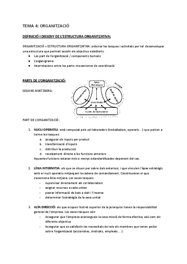 Miniatura del documento ADE-TEMA-4-ORGANITZACIO.pdf