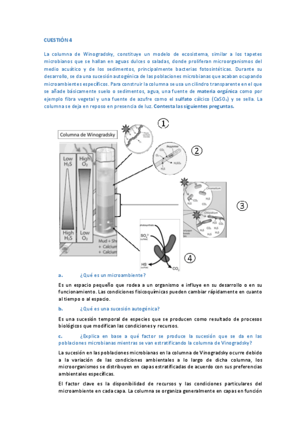 Miniatura del documento cuestion-4.pdf