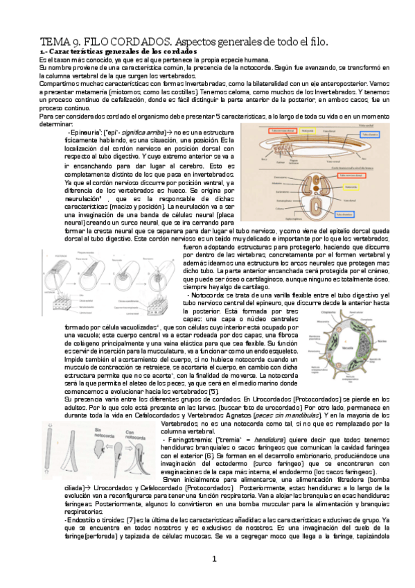 Miniatura del documento TEMA-9.pdf