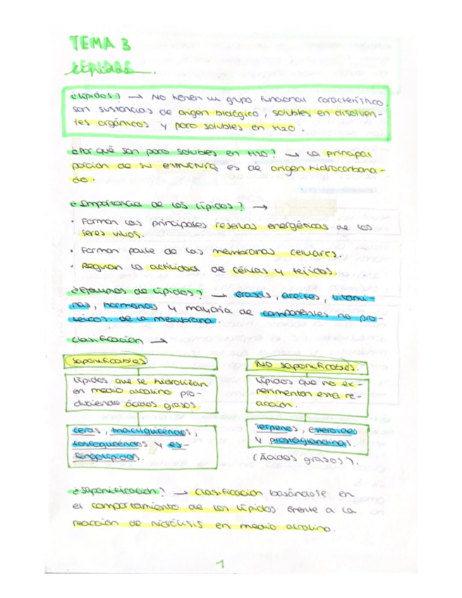 Miniatura del documento Tema 3.pdf