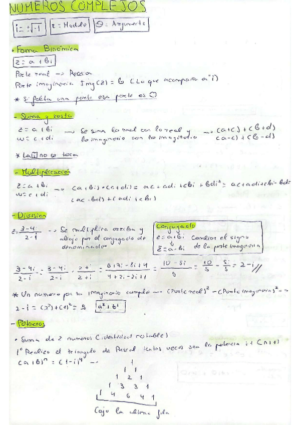 Miniatura del documento RESUMENAPROBAR.pdf