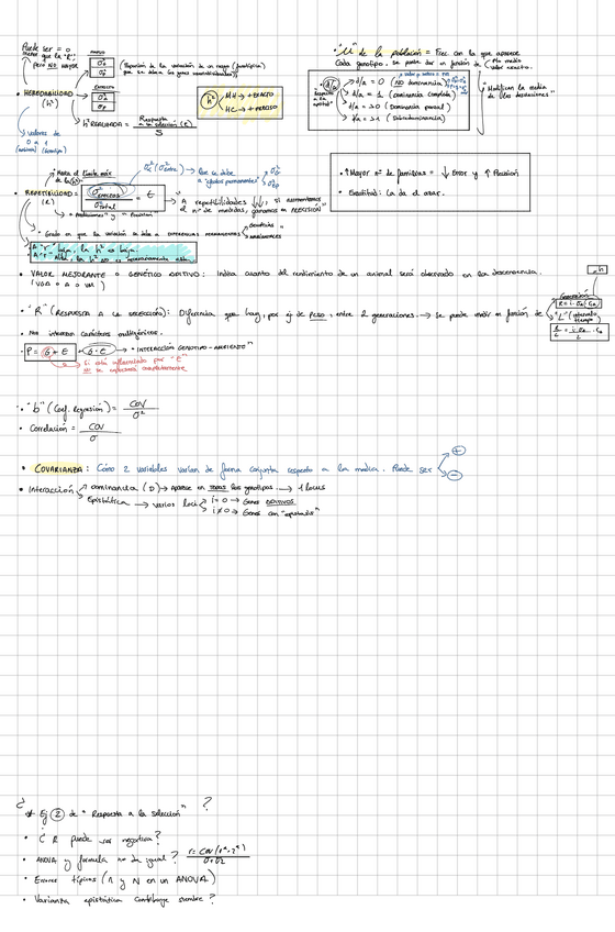 Miniatura del documento PRIMER-PARCIAL-MEJORA--EJERCICIOS.pdf
