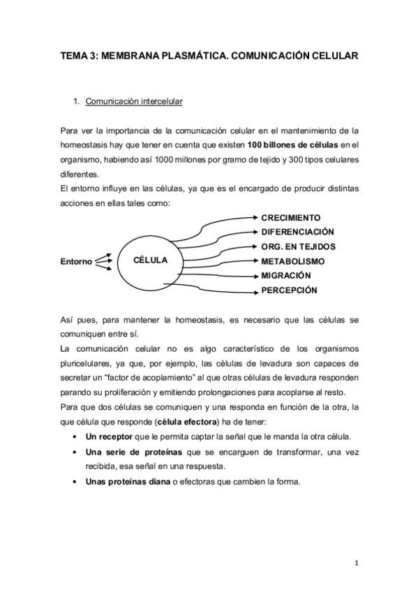 Miniatura del documento TEMA 3.pdf