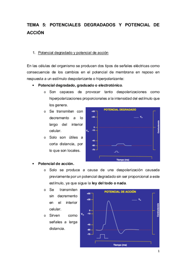 Miniatura del documento TEMA 5.pdf
