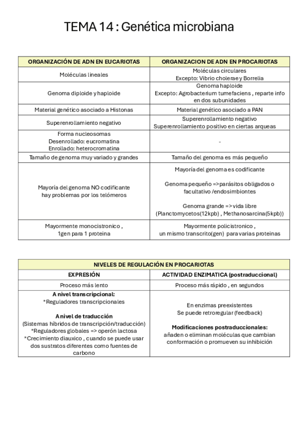 Miniatura del documento Esquemas-tema-14.pdf
