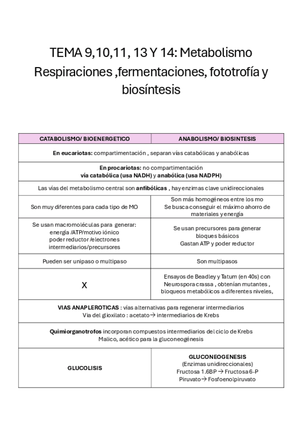 Miniatura del documento Esquemas-todo-metabolismo.pdf