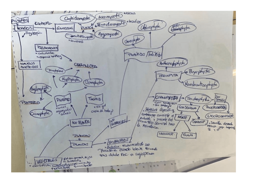 Miniatura del documento esquema.pdf