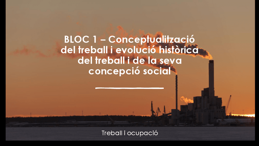 Miniatura del documento Presentacion-de-clase-Treball-i-ocupacio.pdf