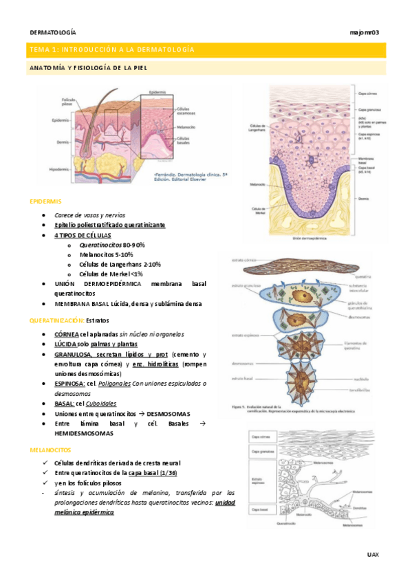 Miniatura del documento Tema-1-Introduccion-a-la-dermatologia.pdf