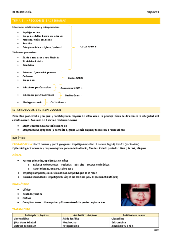 Miniatura del documento Tema-3-Infecciones-bacterianas.pdf