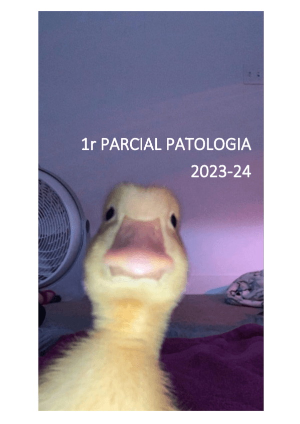 Miniatura del documento 1r-parcial-patologia-clars-2023-24.pdf