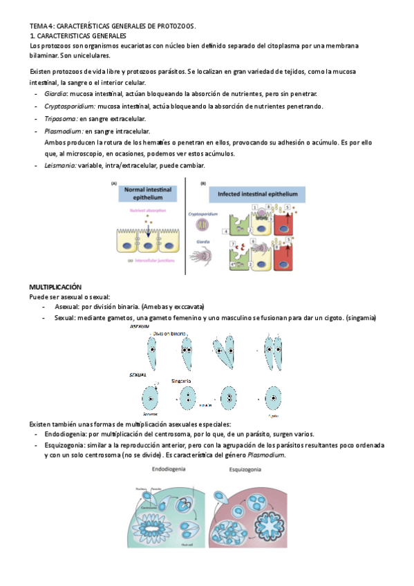 Miniatura del documento tema-4.pdf