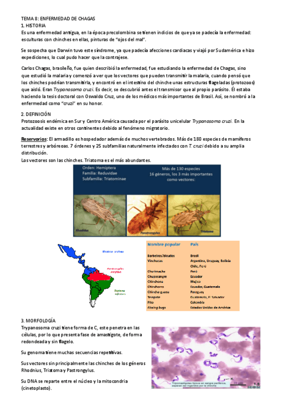 Miniatura del documento tema-8.pdf