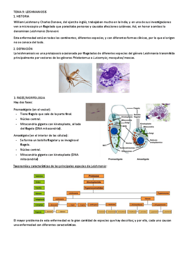 Miniatura del documento tema-9.pdf