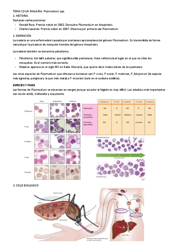 Miniatura del documento tema-12-14.pdf