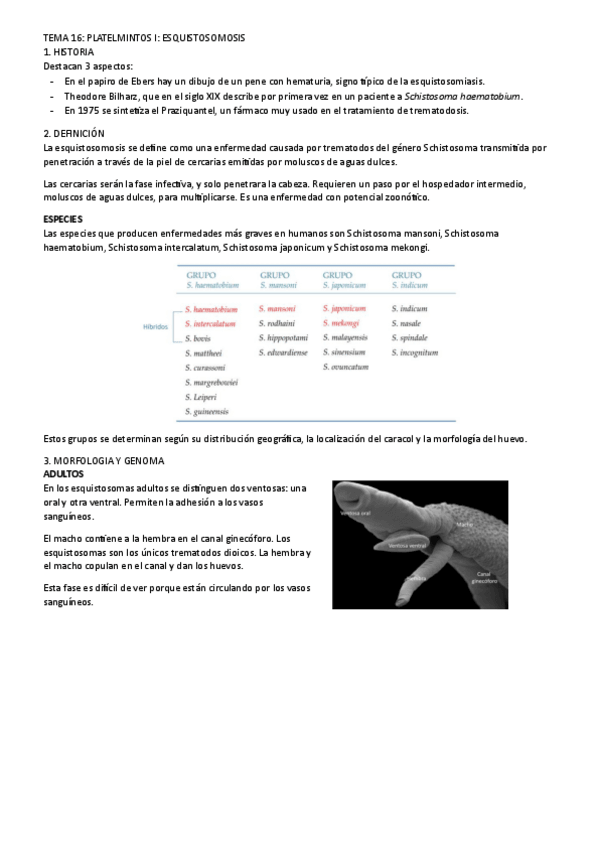 Miniatura del documento tema-16.pdf