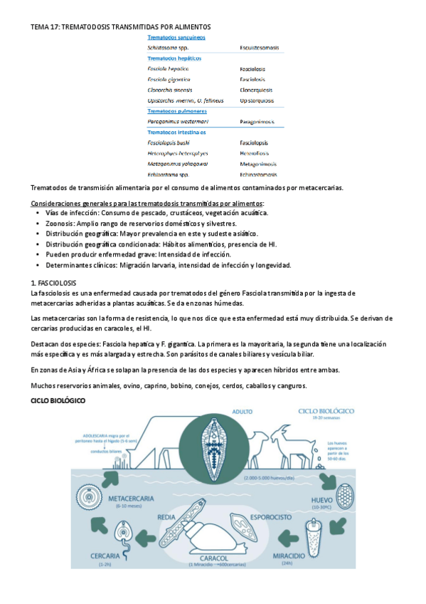 Miniatura del documento tema-17.pdf