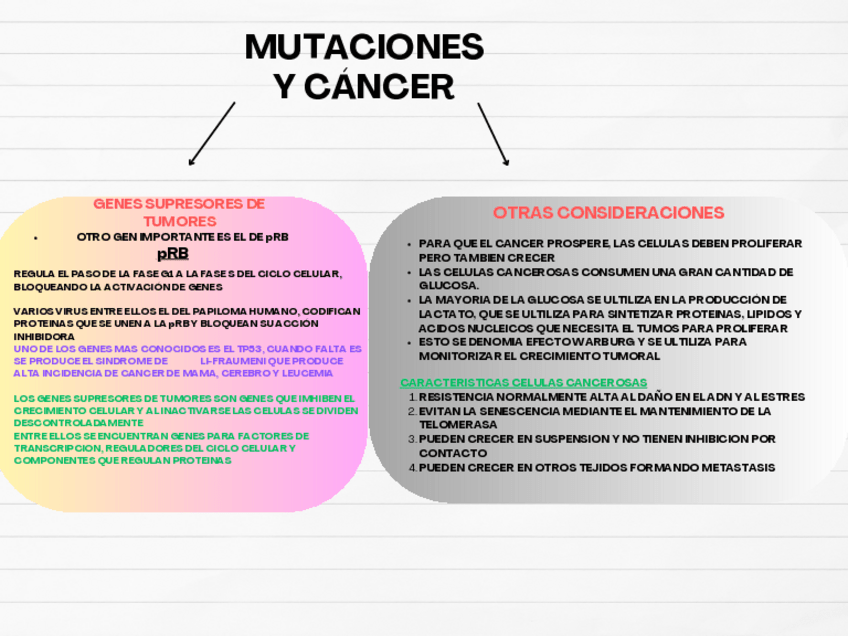 Miniatura del documento ESQUEMA-DIDACTICO-TEMA-19-2.pdf