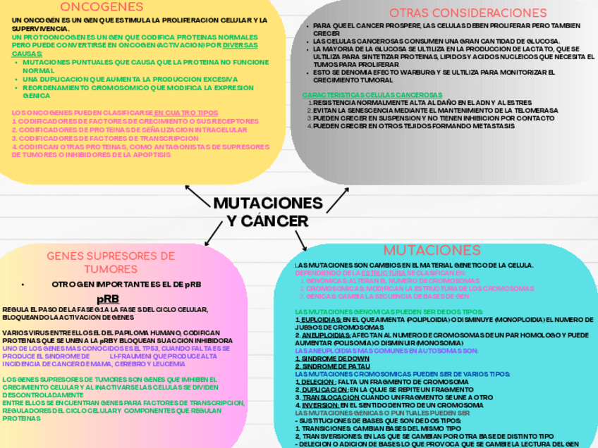 Miniatura del documento ESQUEMA-DIDACTICO-TEMA-19.pdf