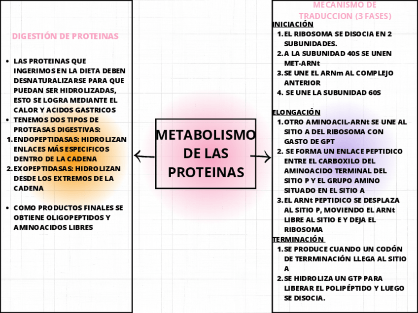 Miniatura del documento ESQUEMA-DIDACTICO-TEMA-17.pdf