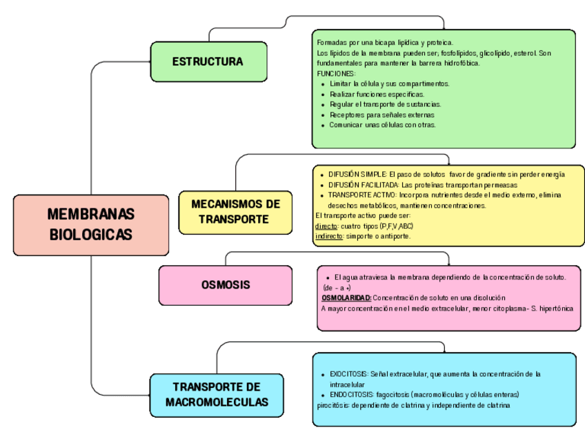 Miniatura del documento ESQUEMA-DIDACTICO-TEMA-6.pdf