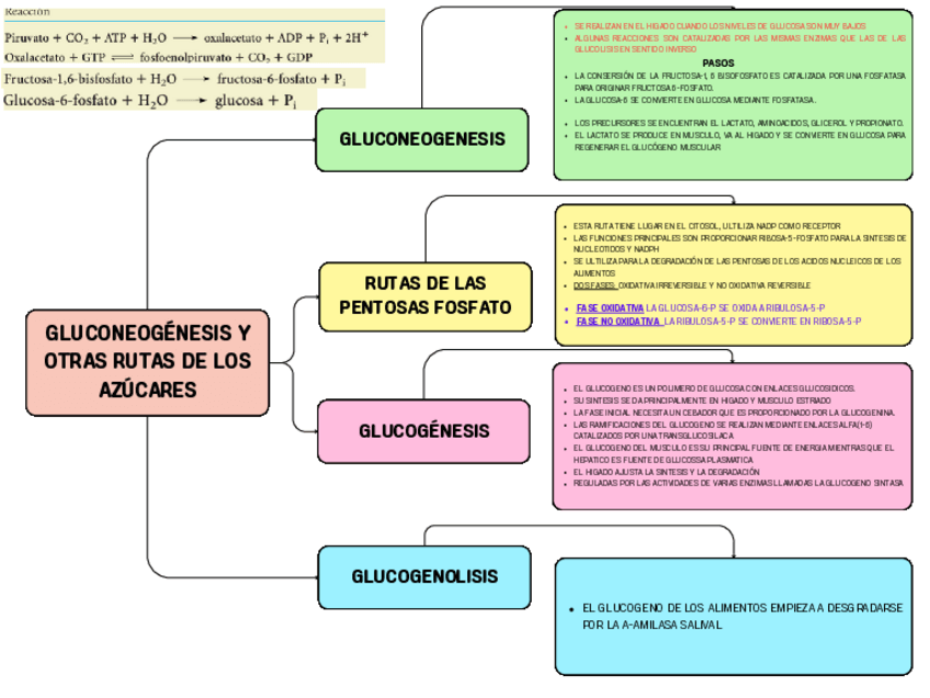 Miniatura del documento ESQUEMA-DIDACTICO-TEMA-15.pdf