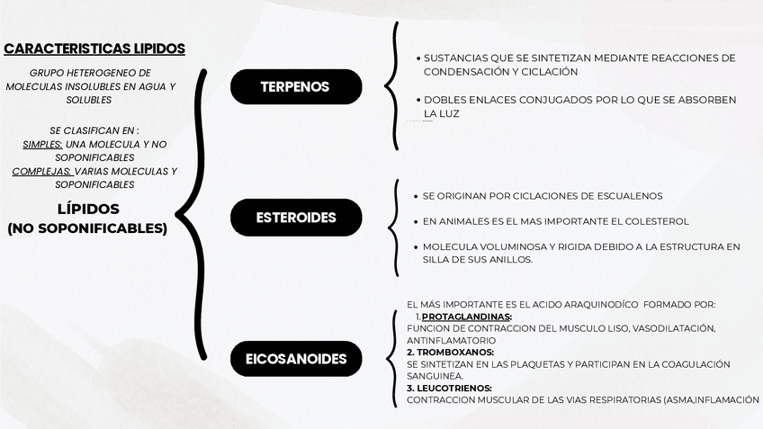 Miniatura del documento ESQUEMA-TEMA-4..pdf