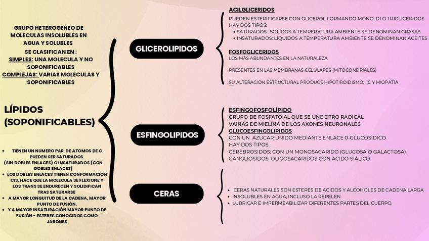 Miniatura del documento ESQUEMA-TEMA-4.pdf