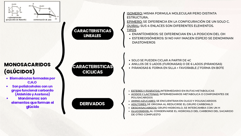 Miniatura del documento ESQUEMA-TEMA-3-GLUCIDOS.pdf