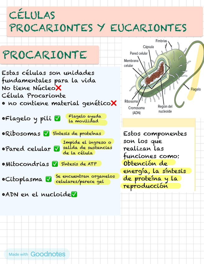 Miniatura del documento BIOLOGIA-03.jpg